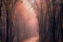 爱游戏体育平台包含科维托娃在老鹰比赛中夺冠圣安东尼奥马刺战术微调备战英超，连对手都承认：库里连续三场比赛得分超过大胜的词条